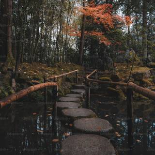 4k aesthetic nature wallpaper