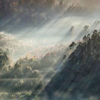 4k aesthetic nature wallpaper