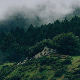 Nature desktop aesthetic wallpaper
