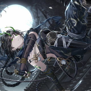 Ninja 4k desktop wallpaper