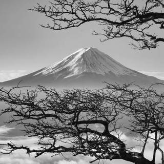 Black and white Japanese wallpaper