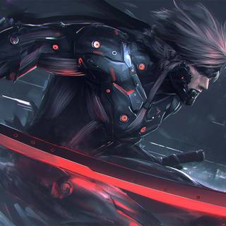 Raiden desktop wallpaper