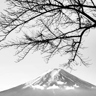 Japan black and white 4k wallpaper
