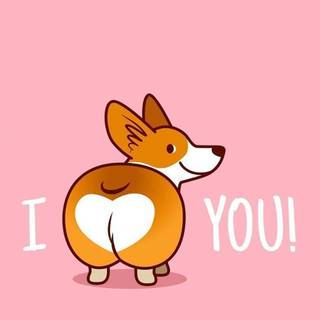 Cute Corgi phone wallpaper