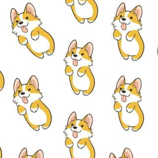 Cute Corgi phone wallpaper