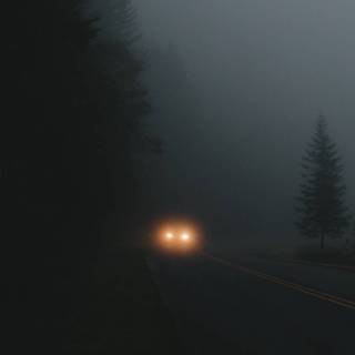 Foggy forest iPhone wallpaper
