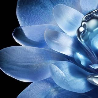 iPhone 4 stock wallpaper