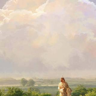 Sheep iPhone wallpaper