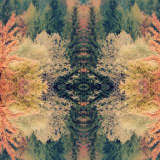 Tame Impala phone wallpaper