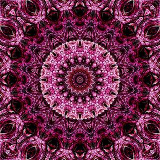 Mandala iPhone wallpaper