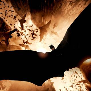 Bruce Wayne desktop wallpaper