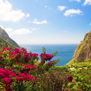 Desktop India wallpaper