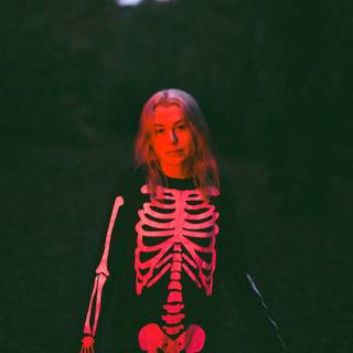 Phoebe Bridgers desktop wallpaper