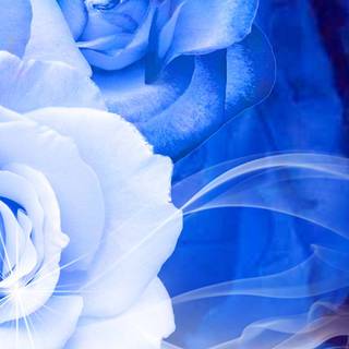 Blue and white desktop wallpaper