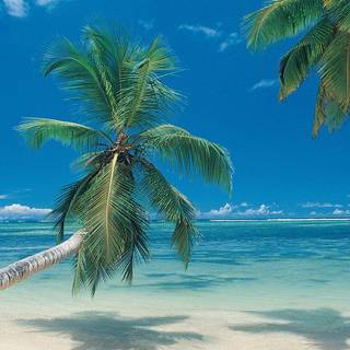 Mexican desktop wallpaper