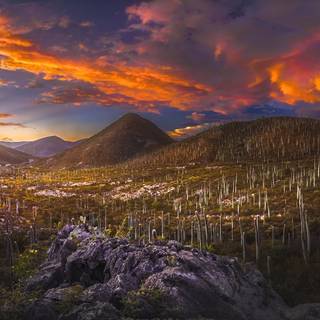 Mexican desktop wallpaper