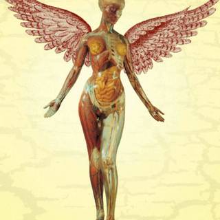 Nirvana mobile wallpaper