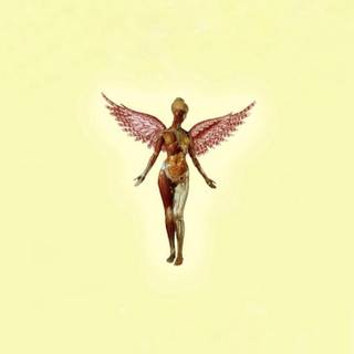 Nirvana mobile wallpaper