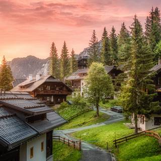 Nature 8k mobile wallpaper