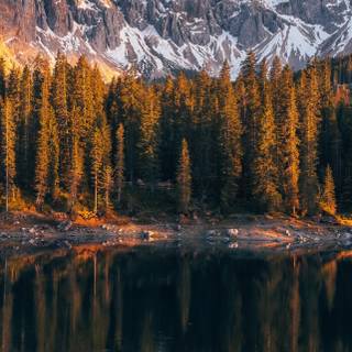 Nature 8k mobile wallpaper