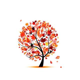 Simple fall desktop wallpaper