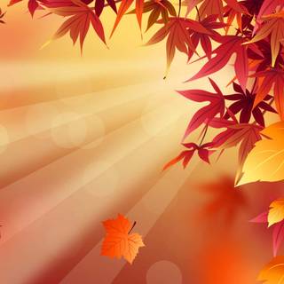 Simple fall desktop wallpaper