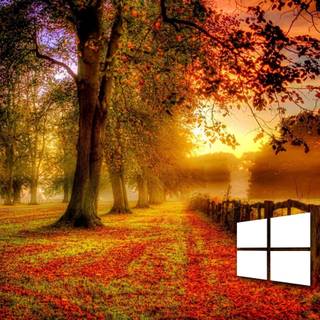 Simple fall desktop wallpaper