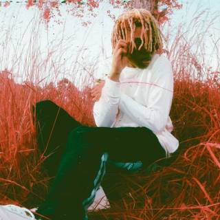 Sofaygo desktop wallpaper