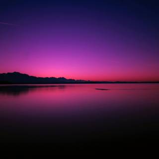 Pink and purple desktop wallpaper