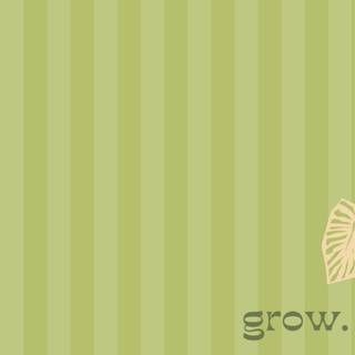 Monstera desktop wallpaper