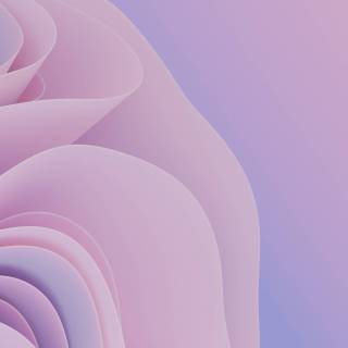 Pink and purple desktop wallpaper