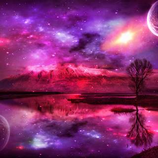 Pink and purple desktop wallpaper