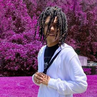 Sofaygo desktop wallpaper