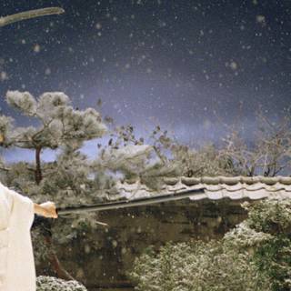 Kill Bill desktop wallpaper