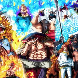 Whitebeard desktop wallpaper