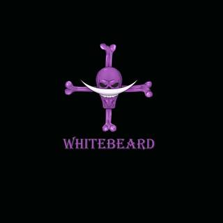 Whitebeard desktop wallpaper