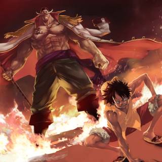 Whitebeard desktop wallpaper