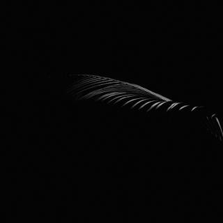 Minimal dark desktop wallpaper