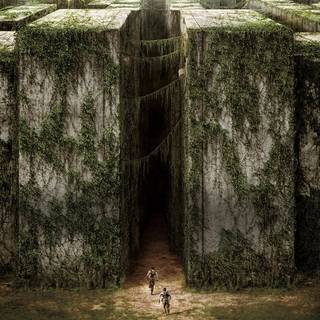 Maze Runner desktop wallpaper