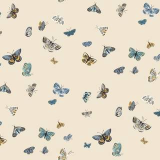 Boho aesthetic desktop wallpaper