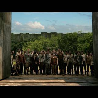 Maze Runner desktop wallpaper