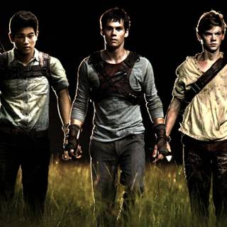 Maze Runner desktop wallpaper
