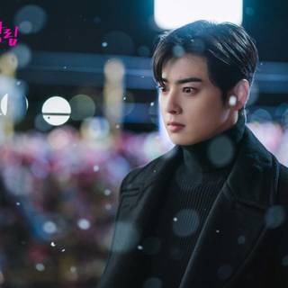 True Beauty desktop wallpaper