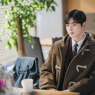 True Beauty desktop wallpaper