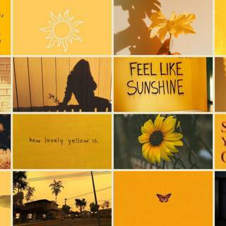 Yellow collage desktop wallpaper