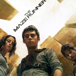 Maze Runner desktop wallpaper