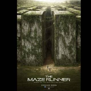 Maze Runner desktop wallpaper