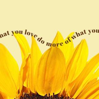 Yellow collage desktop wallpaper