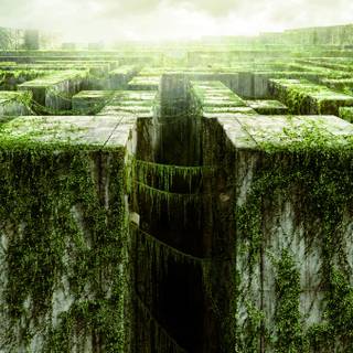 Maze Runner desktop wallpaper