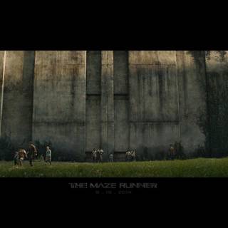 Maze Runner desktop wallpaper